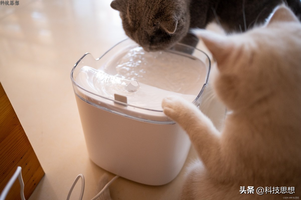 猫咪喝水神器智能不插电恒温,猫咪智能喂水器