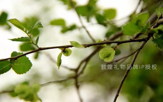 敦煌传统文化发展,敦煌八怪文化品牌