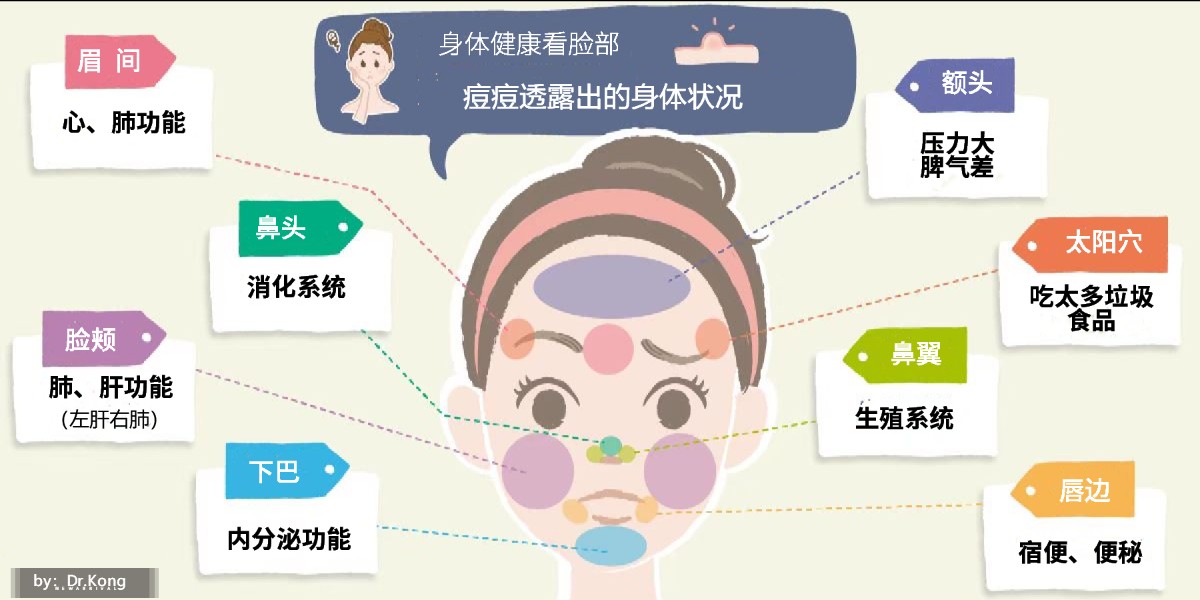 脸部不同部位痘痘分别代表什么,脸上痘痘不同位置代表什么