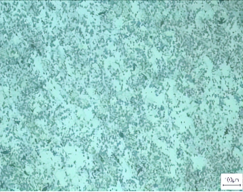 文昌新材徐骏教授：电磁搅拌吸铸技术及其在铝陶复合材料中的应用