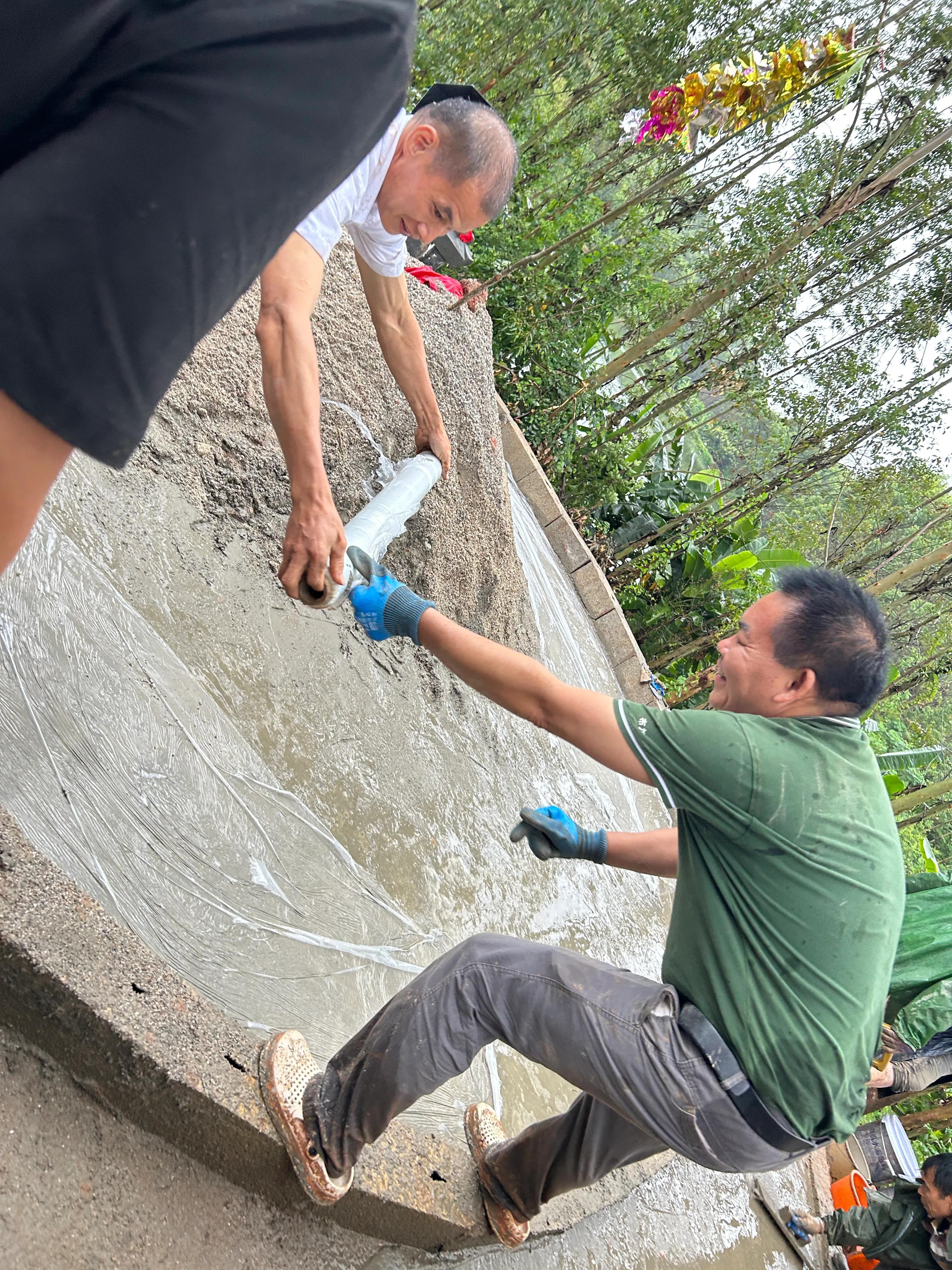 重修应苗公祖墓实录（下）——披荆斩棘凭实干，齐心协力功告成