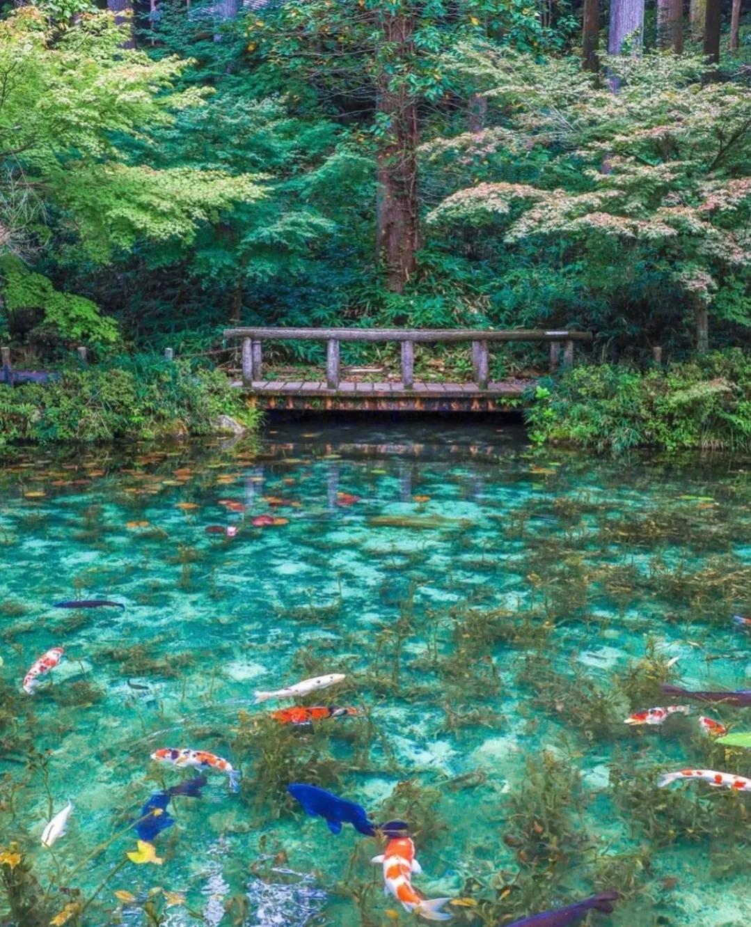 日本小众出行仿佛一脚进入梦幻油画世界！