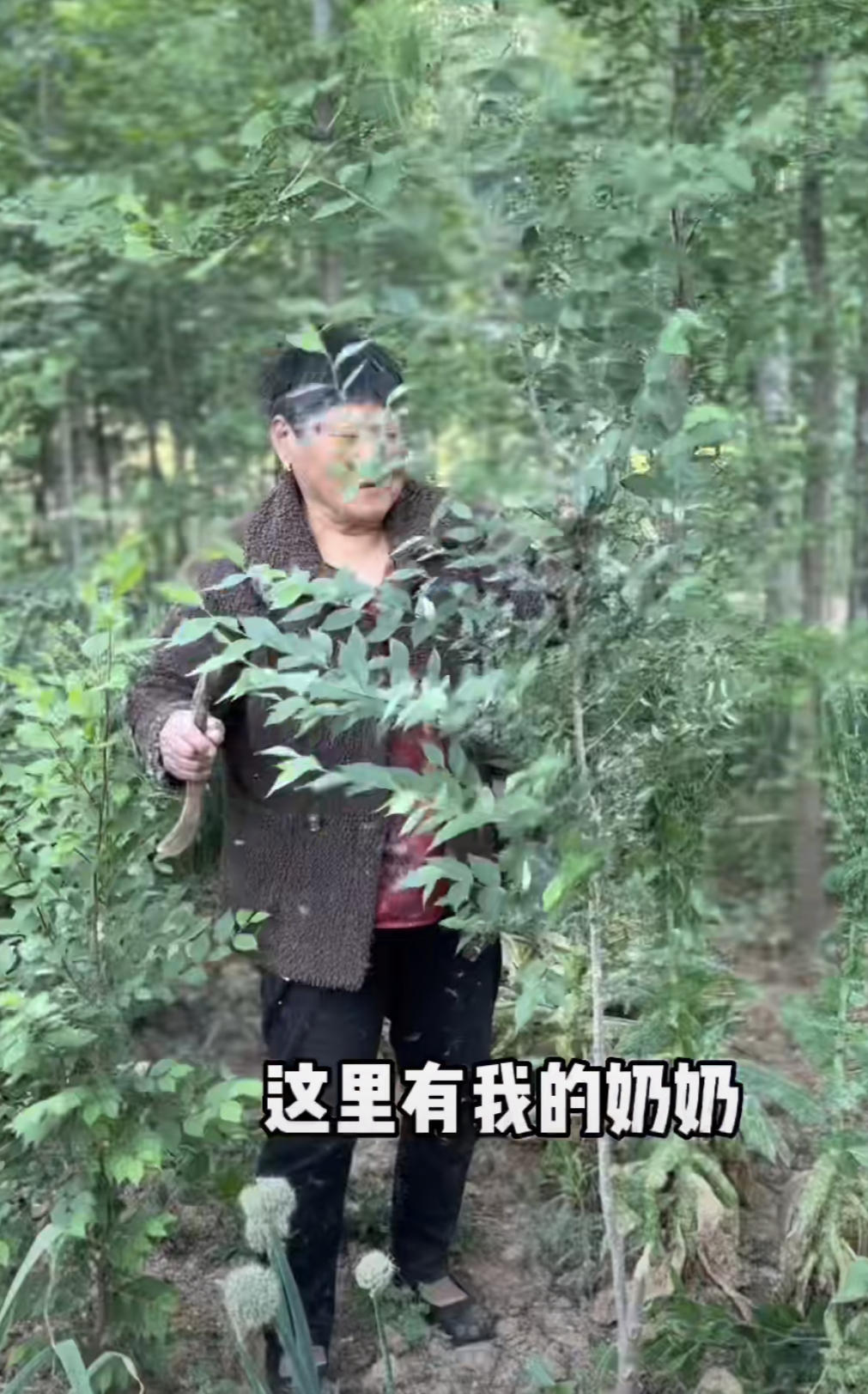 江苏00后女孩，凌晨四点拍视频爆火，年入百万，圈粉900万