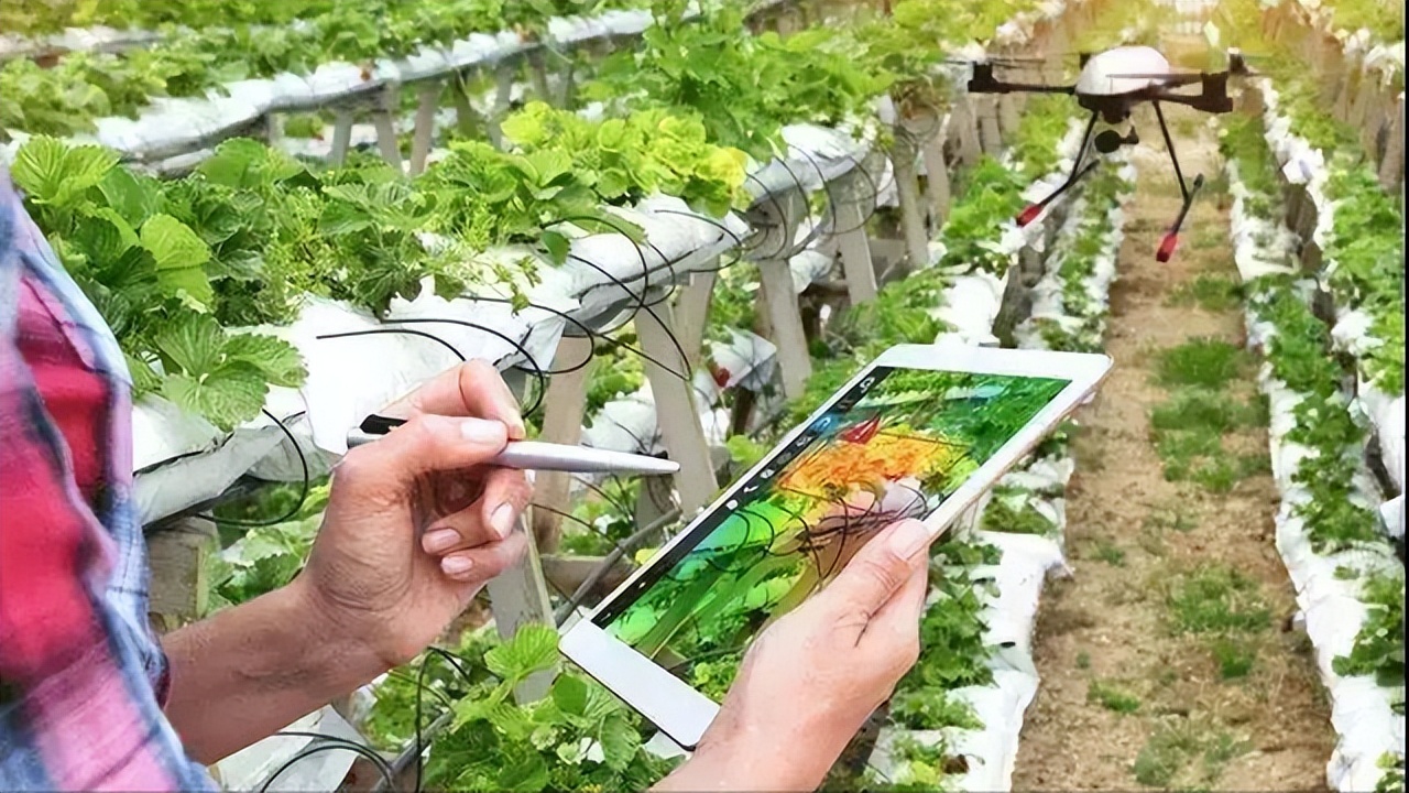 以色列人均gdp总量,以色列2023年人均收入