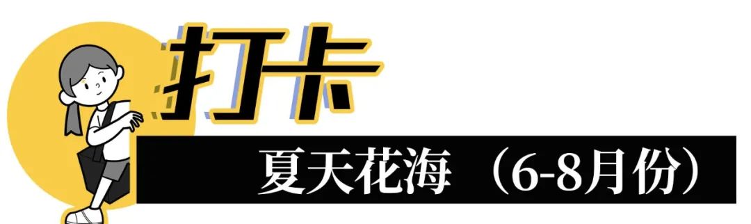 深圳3月14个赏花胜地全部免费,深圳清明节踏青赏花好去处