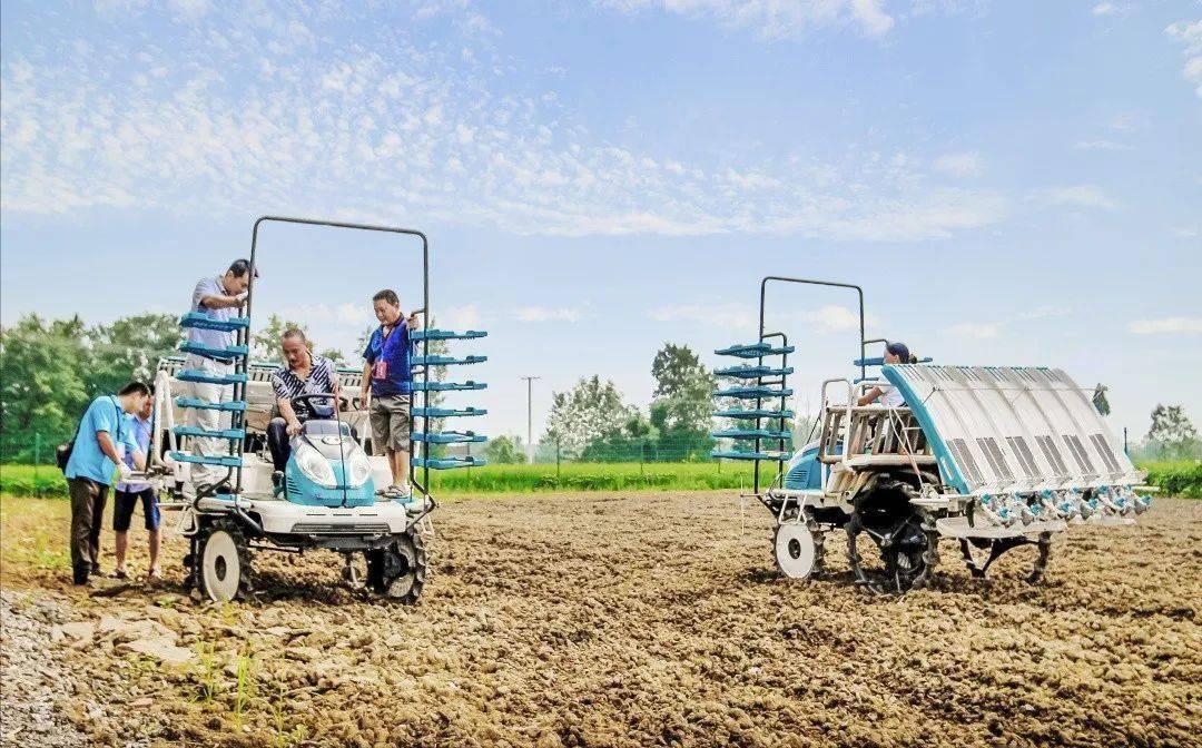 农业信息化和精准农业,农业信息化是在农业的什么领域