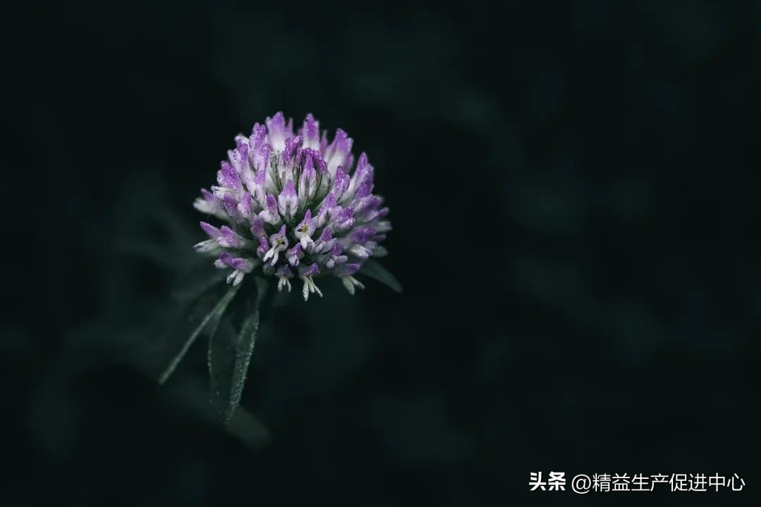 判断一个人的领导力应从哪里开始,可复制的领导力4点总结