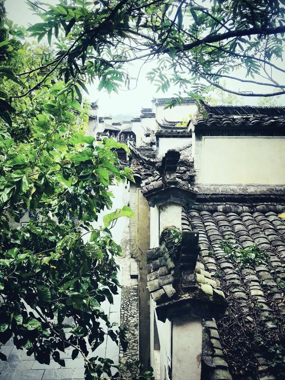 中国最美十大乡村小镇,中国最美的100个风情小镇是哪里