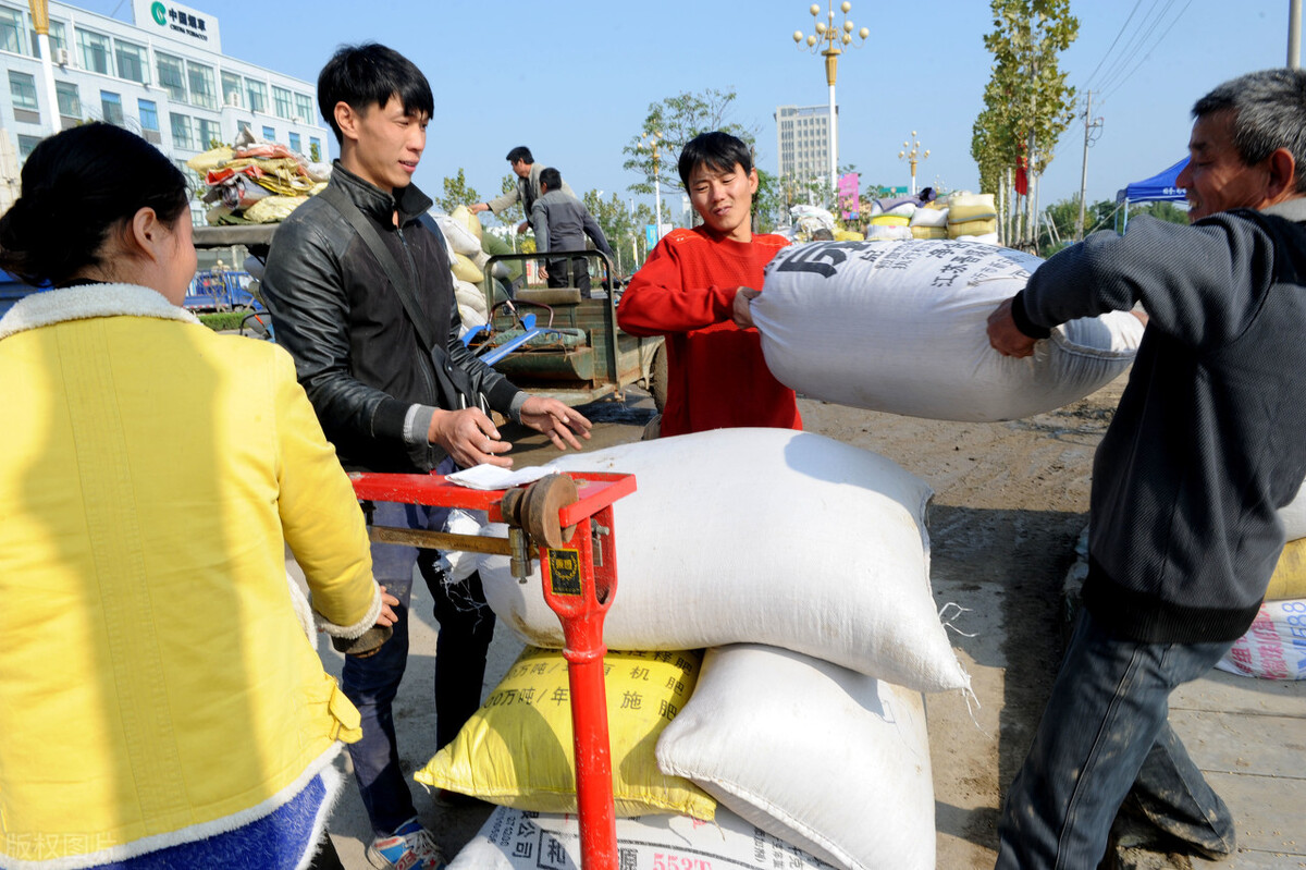 如何防止买粮食的磅秤作假,警惕化肥造假案例