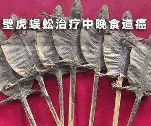 壁虎为什么会被称为五毒,壁虎为什么被称为五毒之一