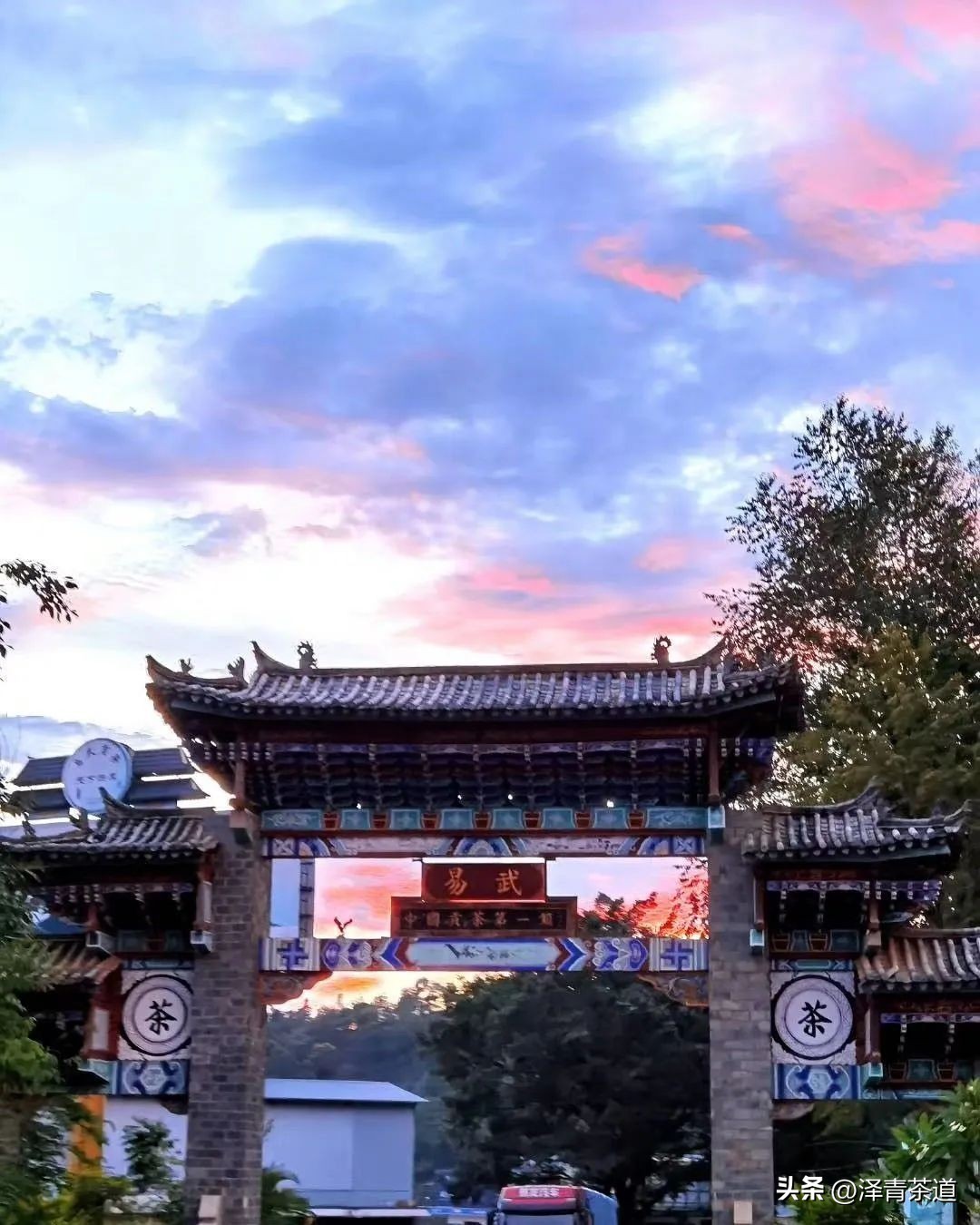 易武六大茶山茶的特点,易武茶的特点