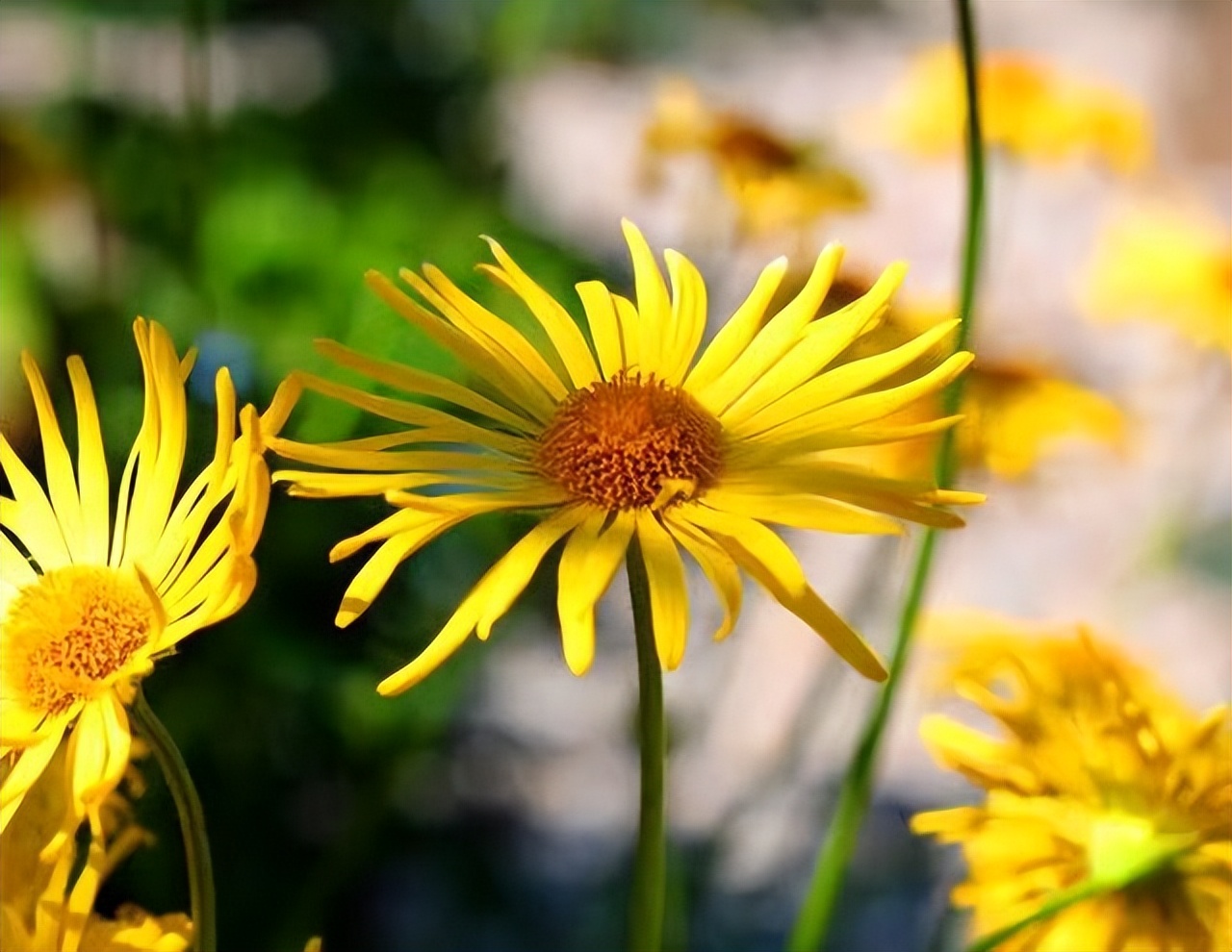 女人不自爱的底层逻辑,女人不自尊自爱的原因