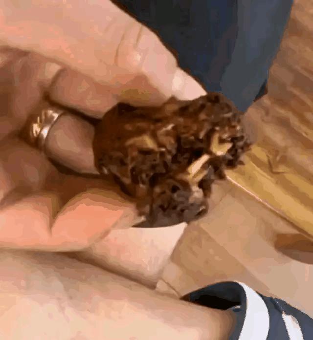 江西工业职业技术学院事件剖析,江西工业职业技术学院事件梳理