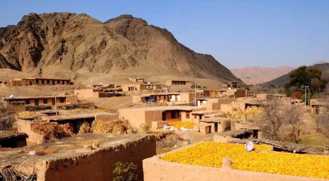 戈壁西瓜的危害究竟有多大,戈壁西瓜禁止种植了吗