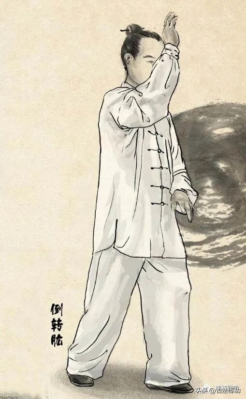 武当赵堡太极拳秘笈讲解,武当赵堡太极拳