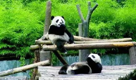 成都适合年轻人发展么,成都与西安哪个适合定居