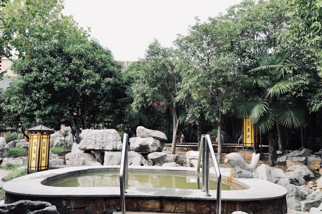 新盈泰温泉度假村娱乐设施,新盈泰温泉美食