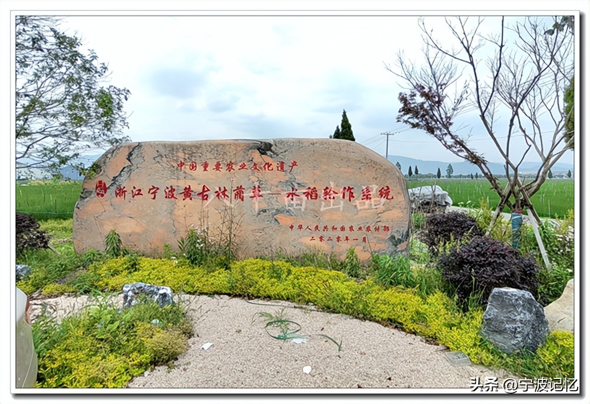 宁波市海曙区古林镇三星村委会,宁波古林镇三星村