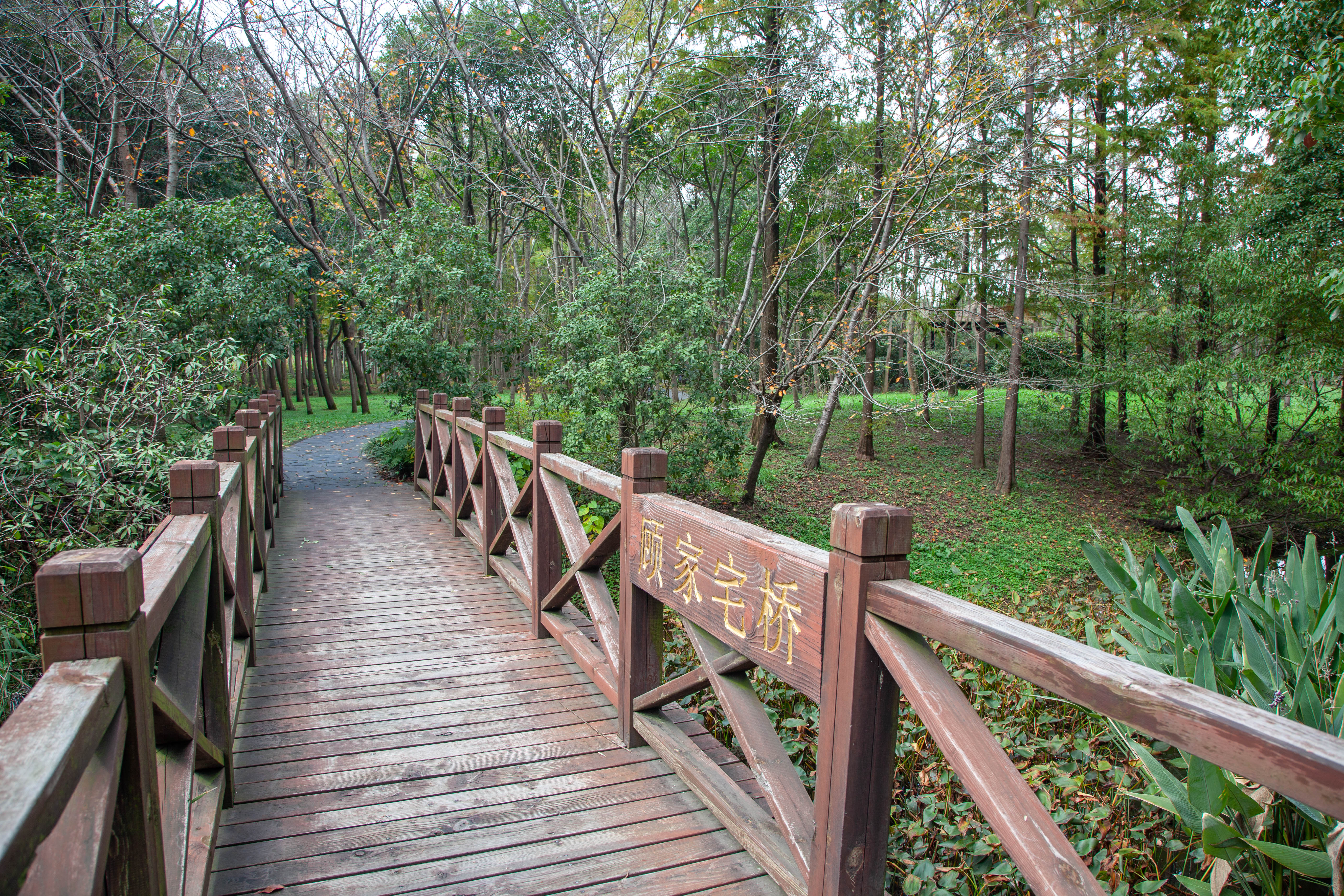 宝山顾村历史,上海宝山顾村老街