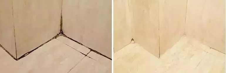 家里潮湿有霉菌,家里墙壁有潮湿的霉菌怎么办