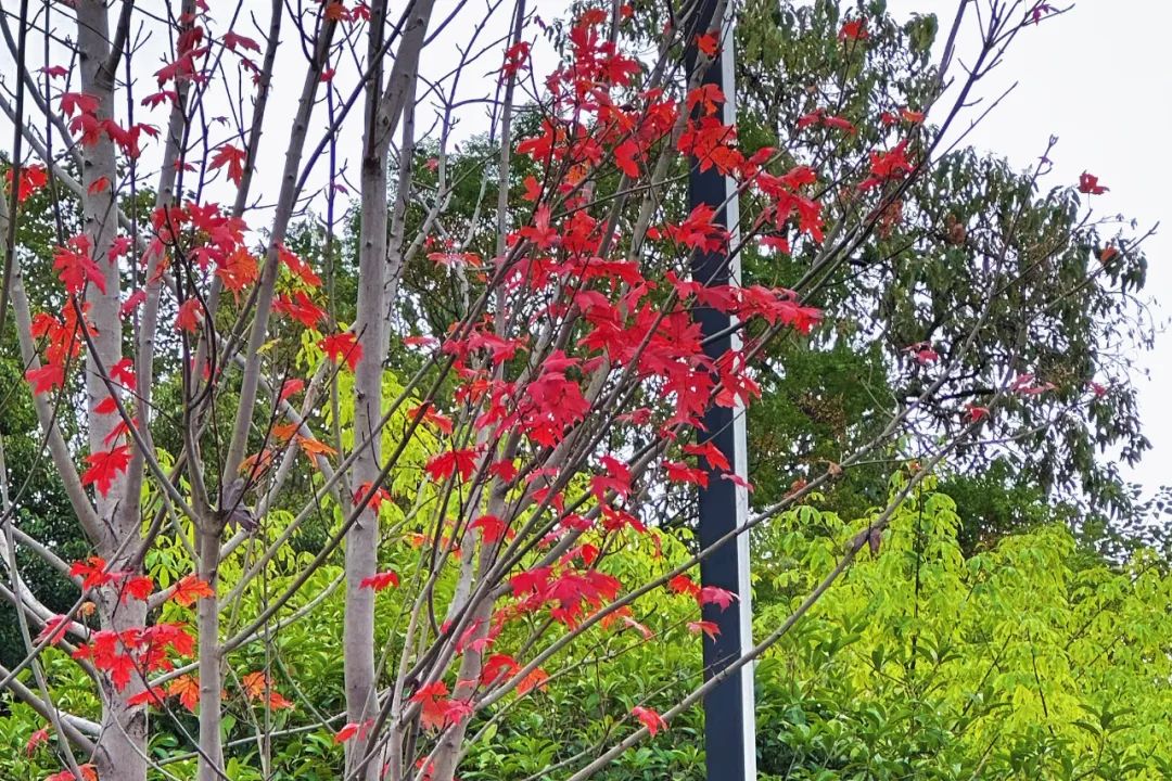 世界杯开始精彩,世界杯开始了没