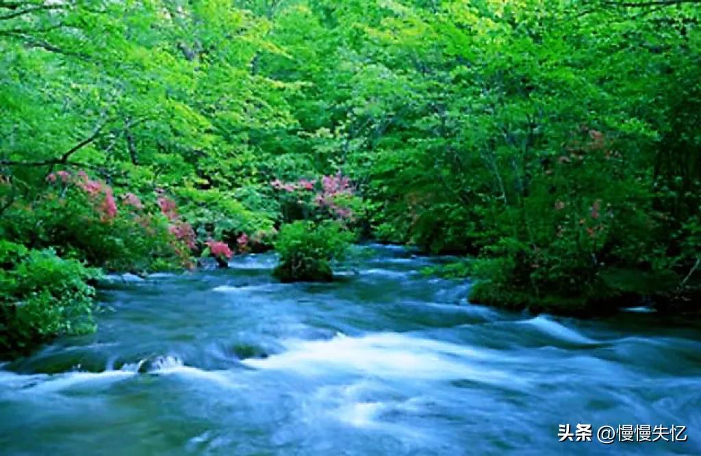 宋朝意境最好的七绝诗,宋朝写山水风景诗