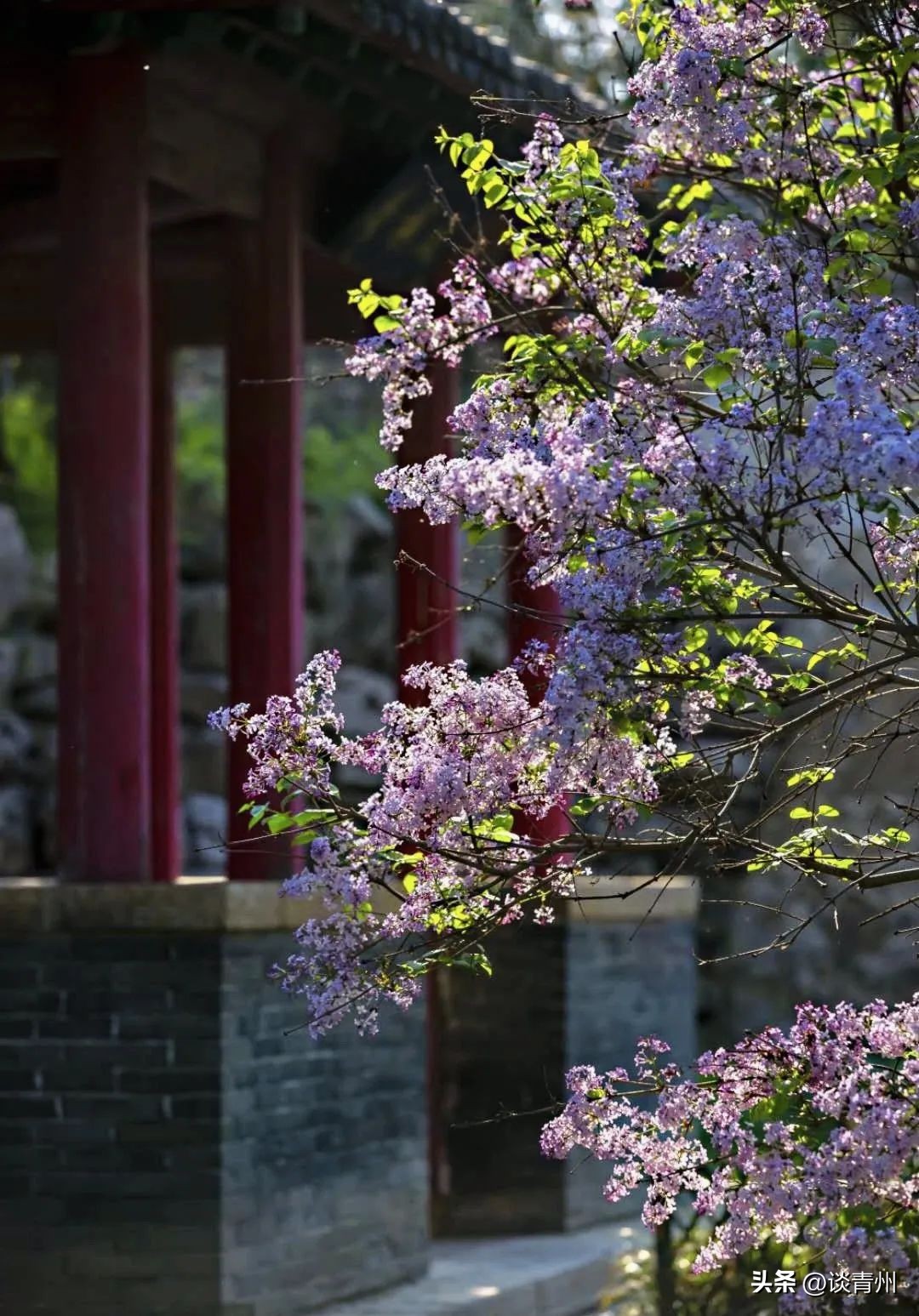 青州原来你是这样一座千年古城,青州原来叫什么名
