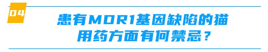 mdr1基因缺失什么意思,mdr1a怎么样