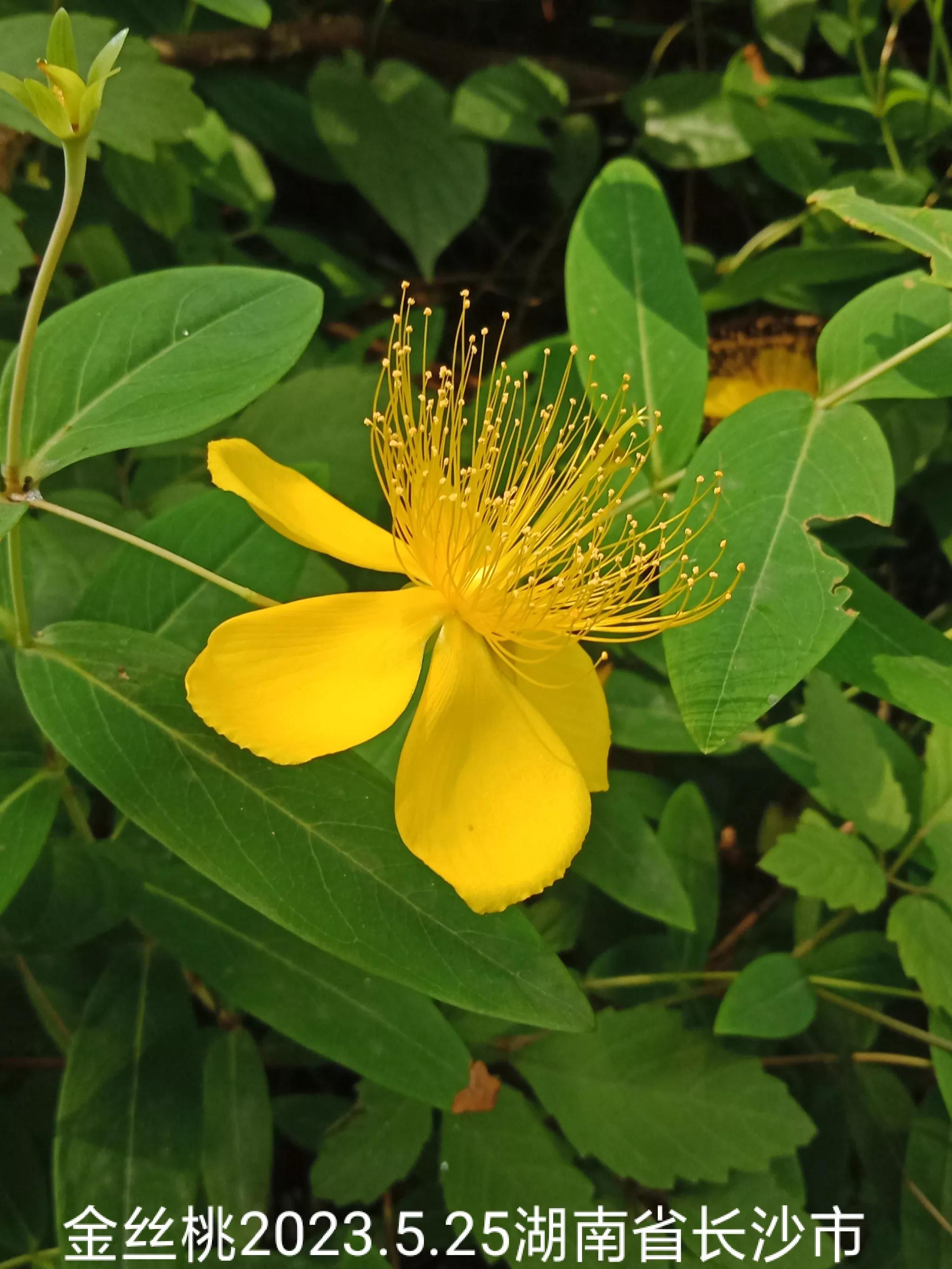 怎么找回没保存丢失的微信群,怎么找回没有保存的微信群