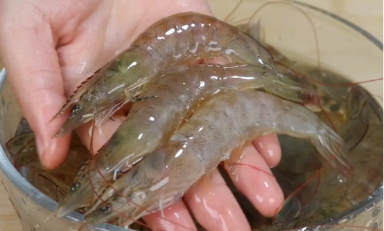 挑选虾时一定要买弯曲的虾,怎么挑选好虾遇到这种虾千万别买