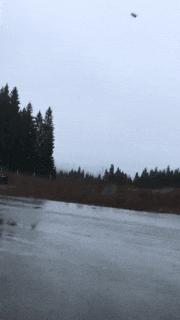 闪光弹进化史,闪光弹的进化史