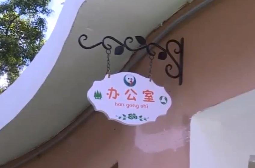 ​深圳三岁女童因“事太多”，导致园长老师齐痛哭，园长：求你转学