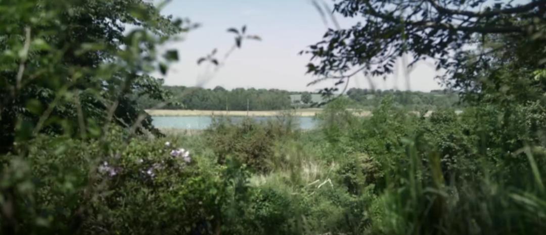 近期最好的5部新片,最值得看的十部新片