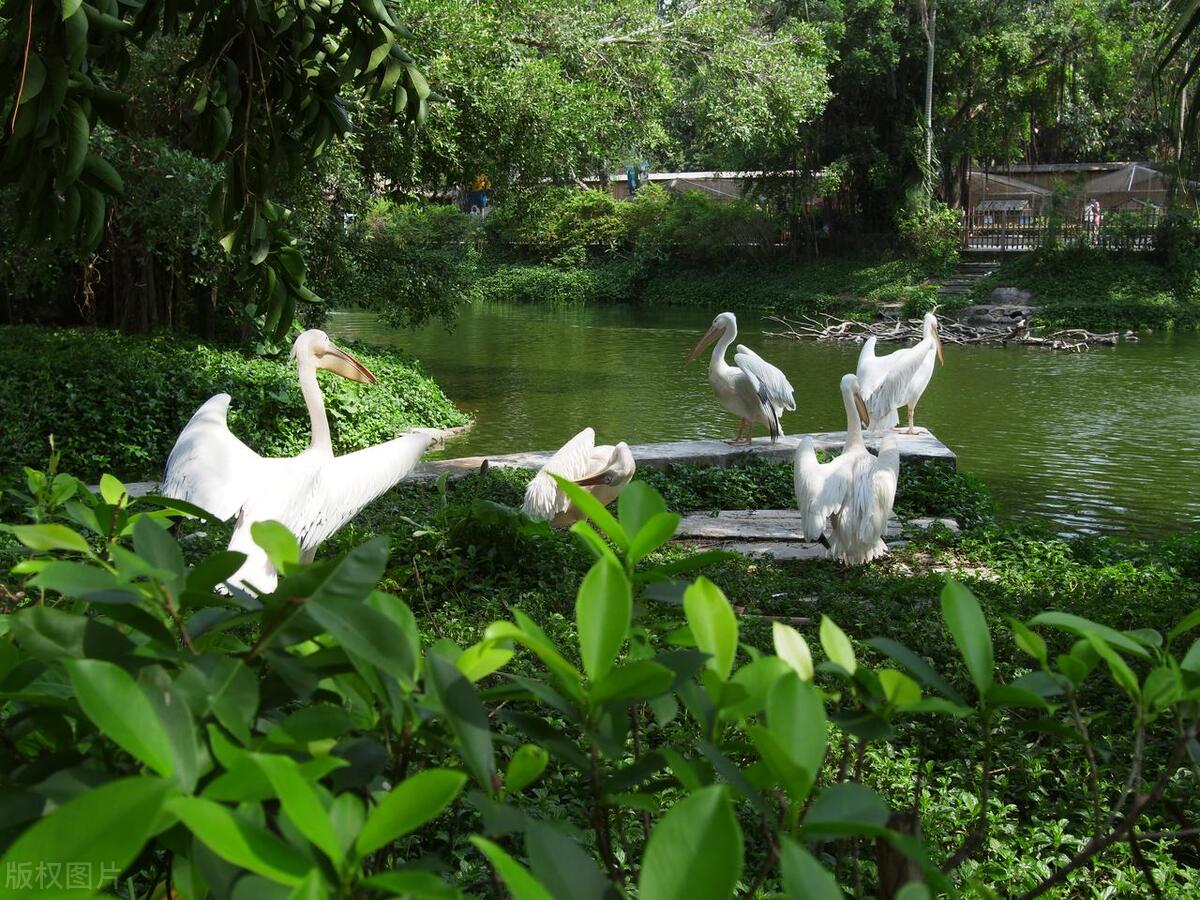 深圳情侣去玩的地方推荐,深圳银湖山公园