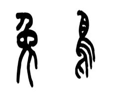 实验小学无纸笔测试,小学低年级无纸笔测试方案