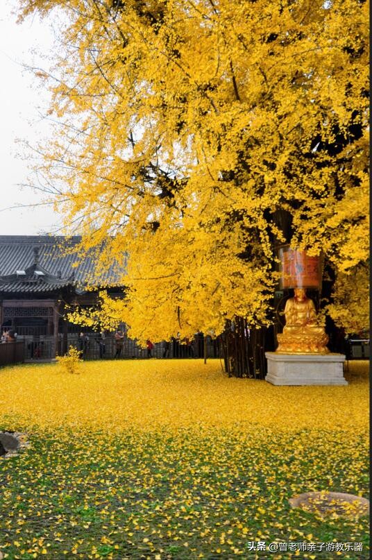 西安2023旅游攻略,2023年西安必去景点