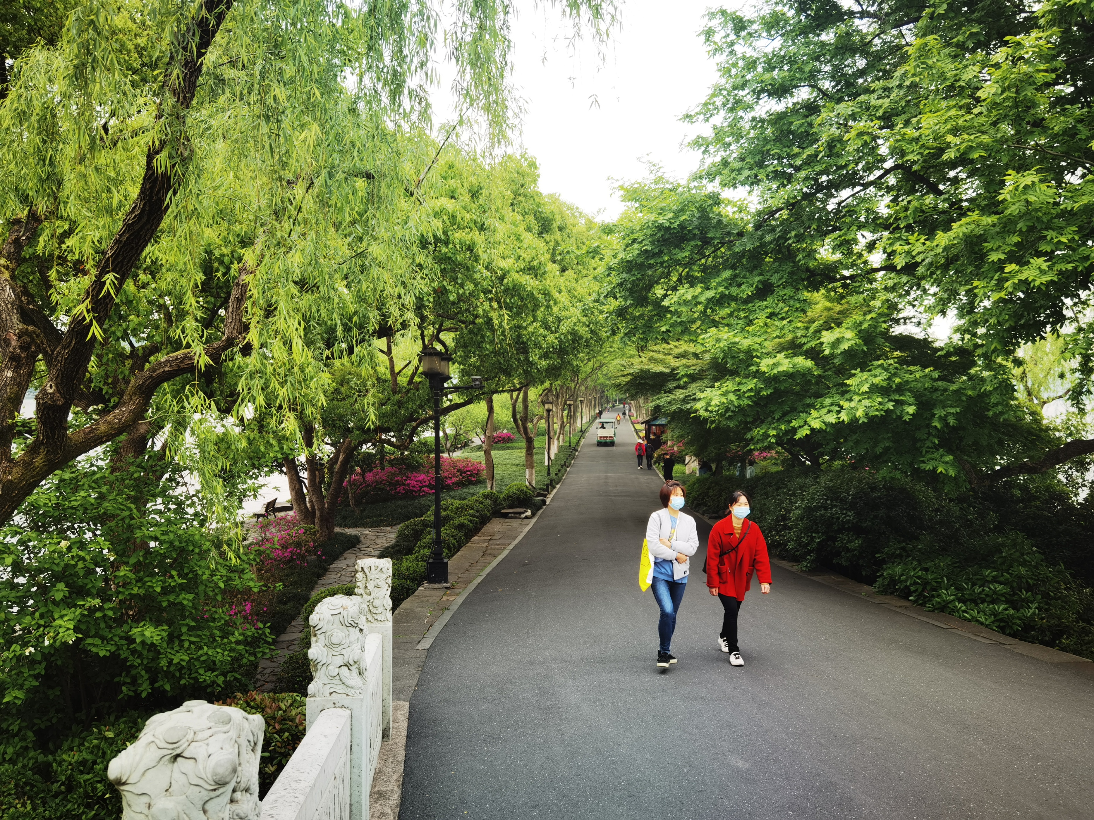 西湖十景苏堤春晓在哪里,西湖十景苏堤春晓的讲解