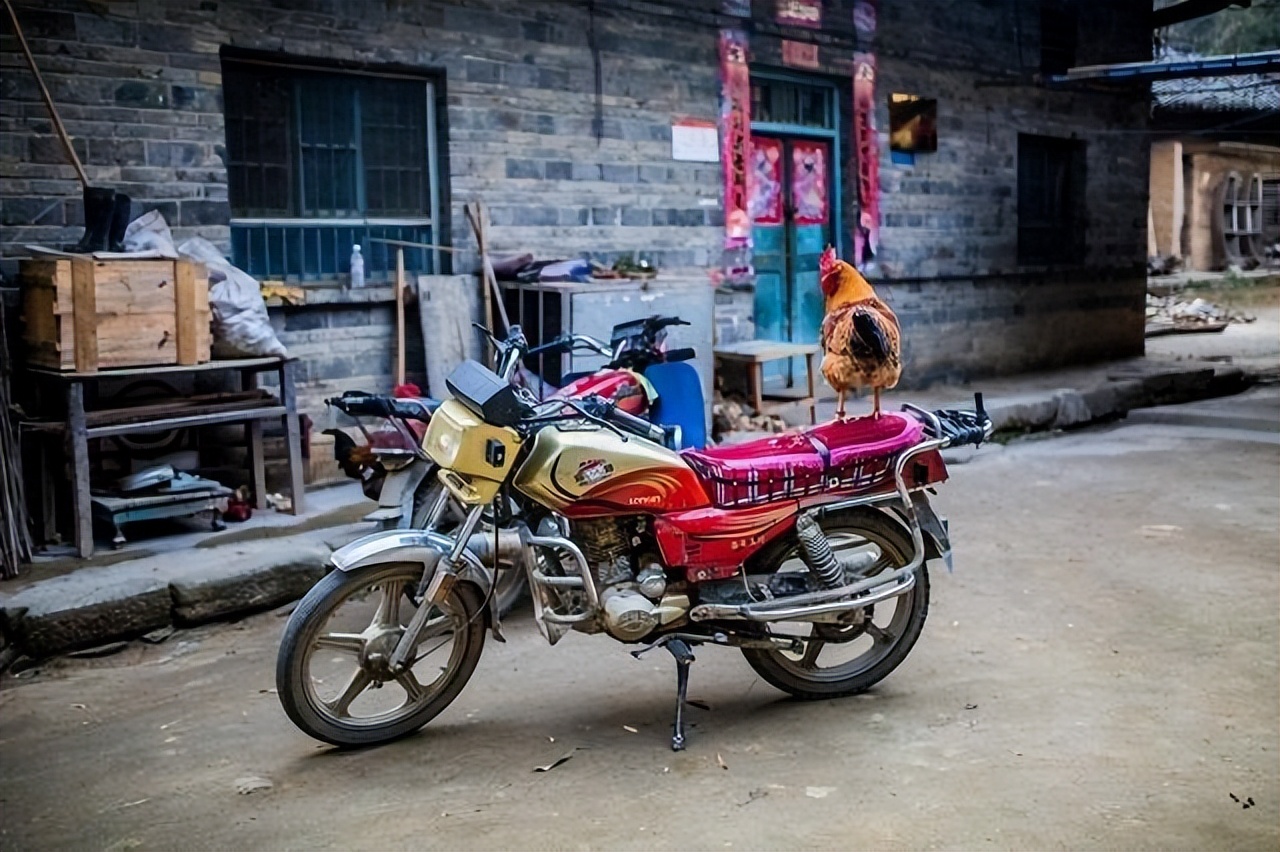 5年前,扬言“高考太简单,耽误我打工”的狂妄少年,现状如何?