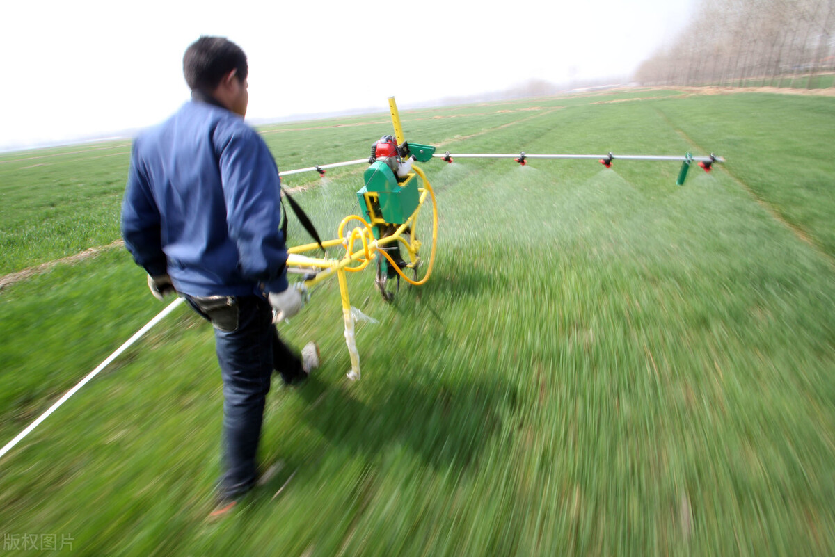 山东临沂市郯城县二胡生产基地,山东省临沂市郯城县县城