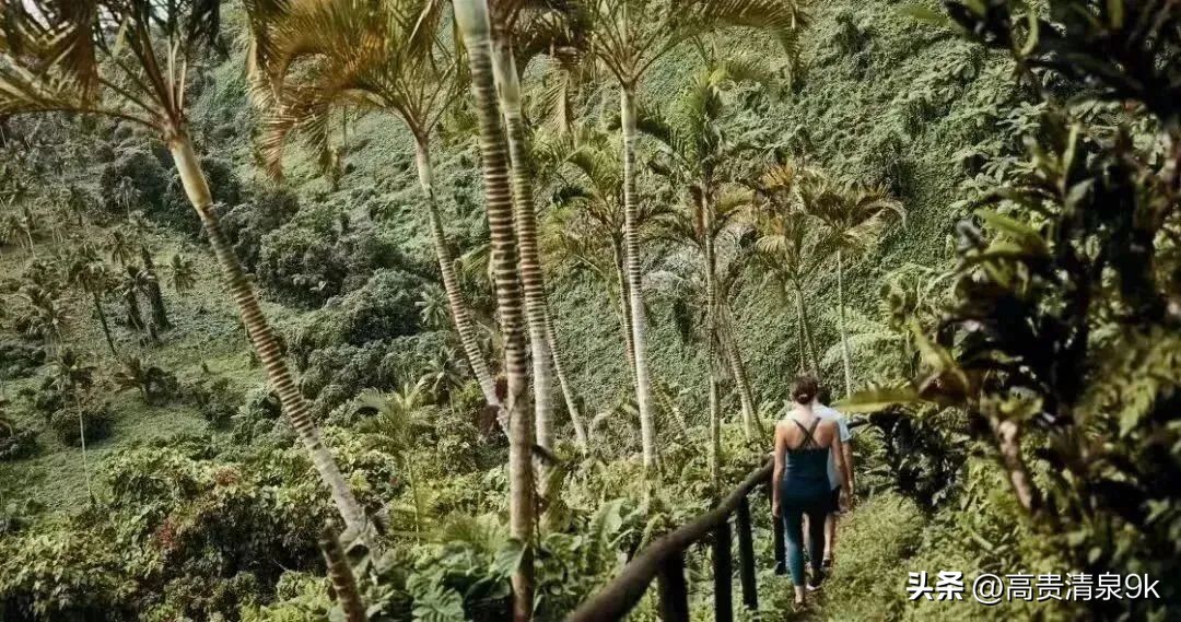 4月1恢复直航，马云刚去过的宝藏免签海岛藏不住了！