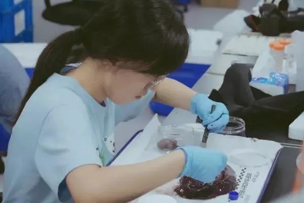 理工科博士有多厉害,理工科博士科研