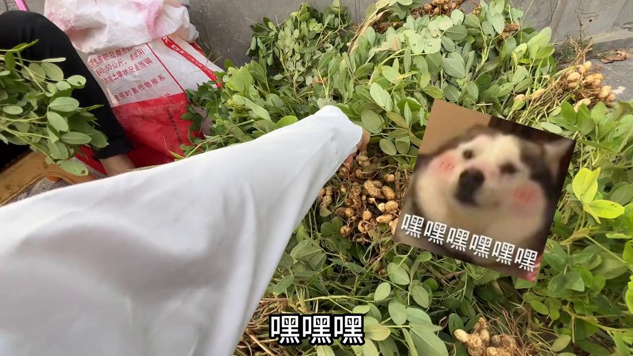 济源富士康大学生勇闯富士康,挑战济源富士康的第一天