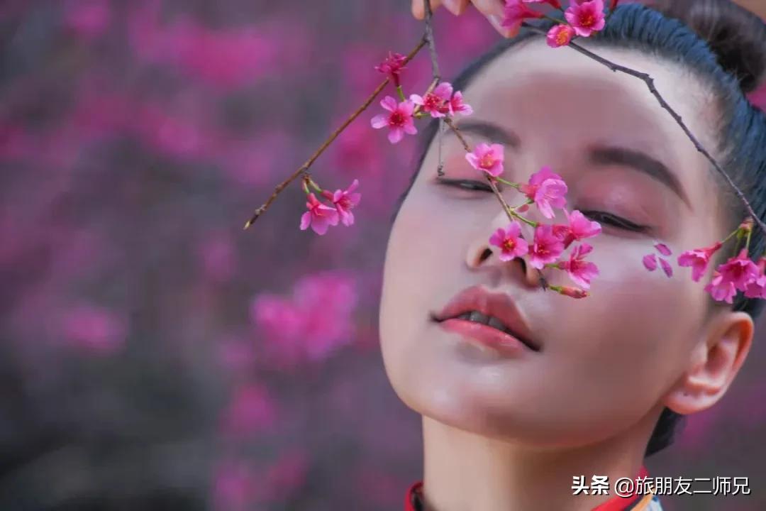 广州花都梯田油菜花,广州徒步赏油菜花路线