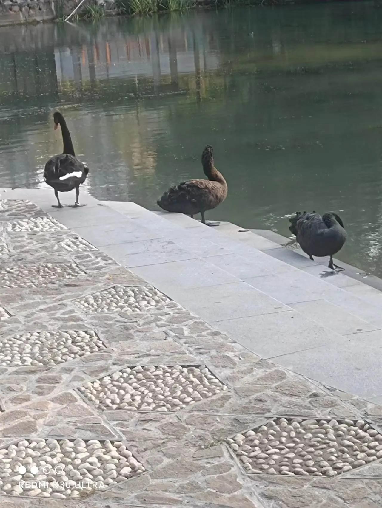 合肥秋季周末悠闲去处,合肥近郊秋天最美的地方