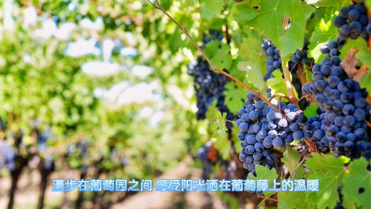 卢森堡国家简介,卢森堡移民真实感受