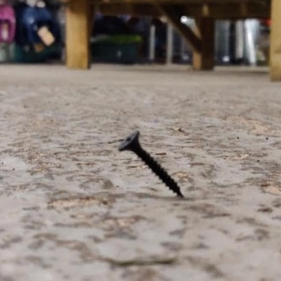 20张让人开怀大笑的猫咪照片,100张有趣猫咪照