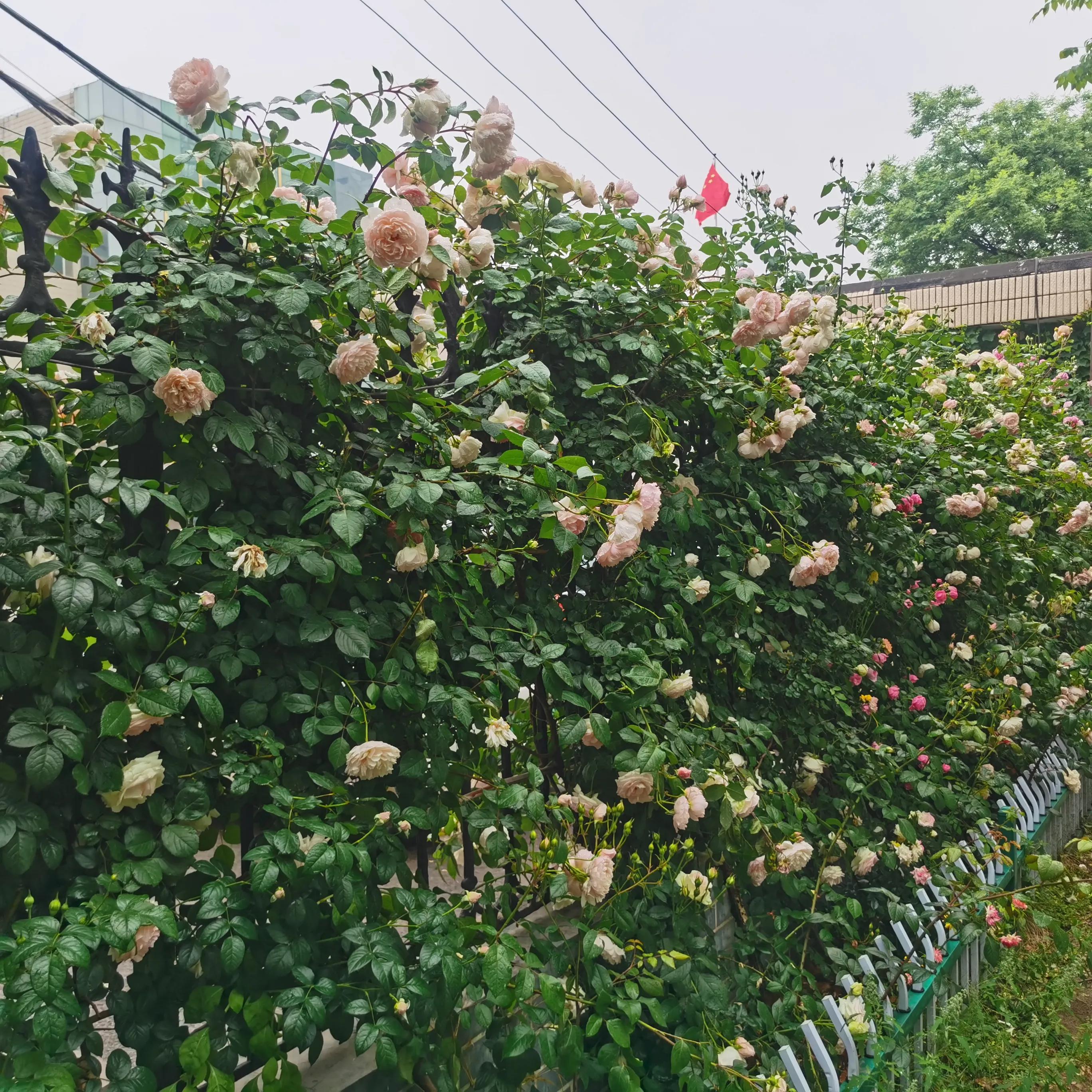 假期过完开始搬砖,假期用完开始搬砖