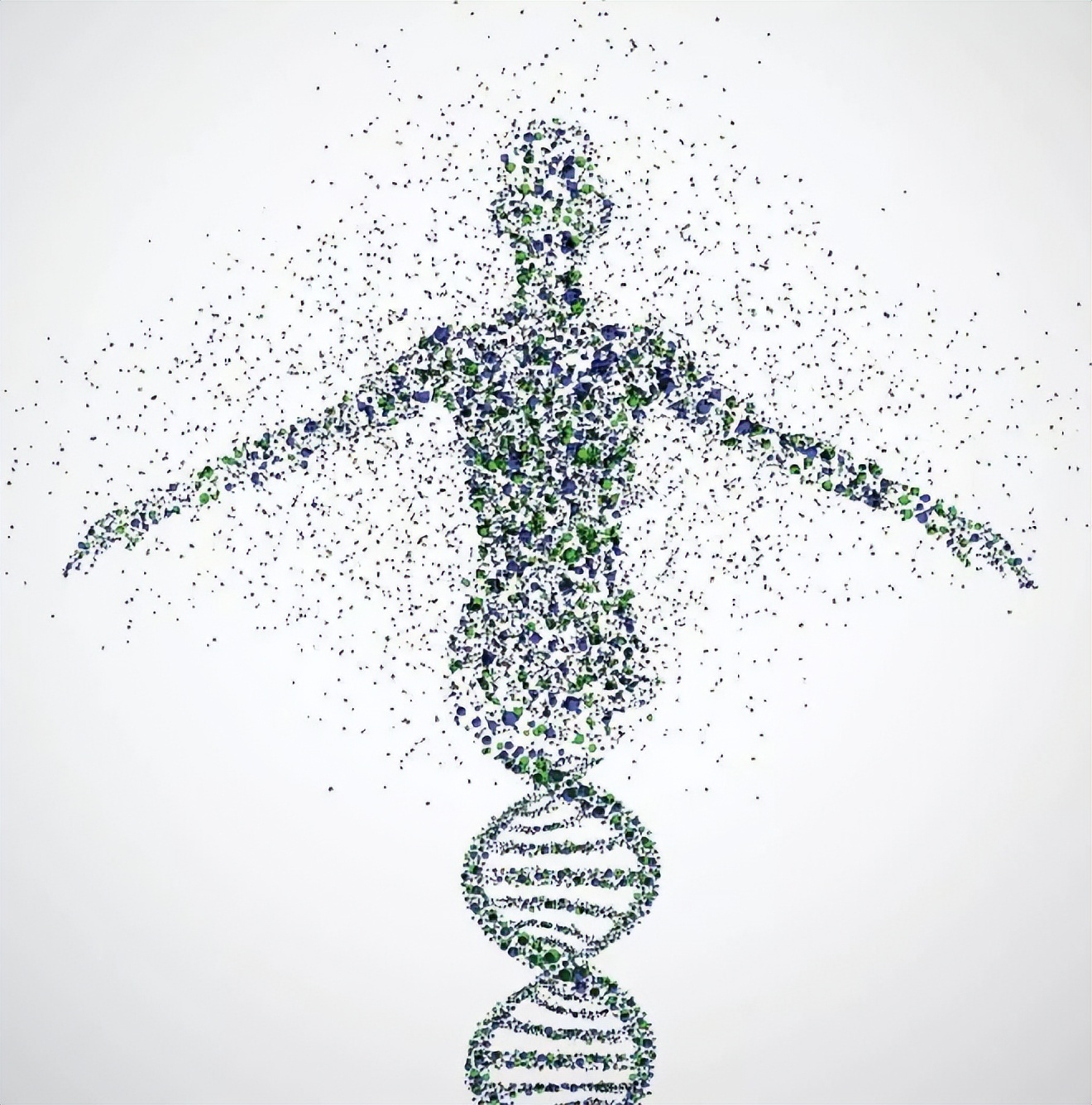 日本人兽杂交实验被允许，这是否违背伦理常纲？是创新还是灾难？