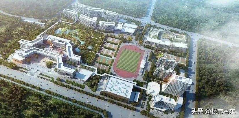 汕头新开中学,汕头内重点学校