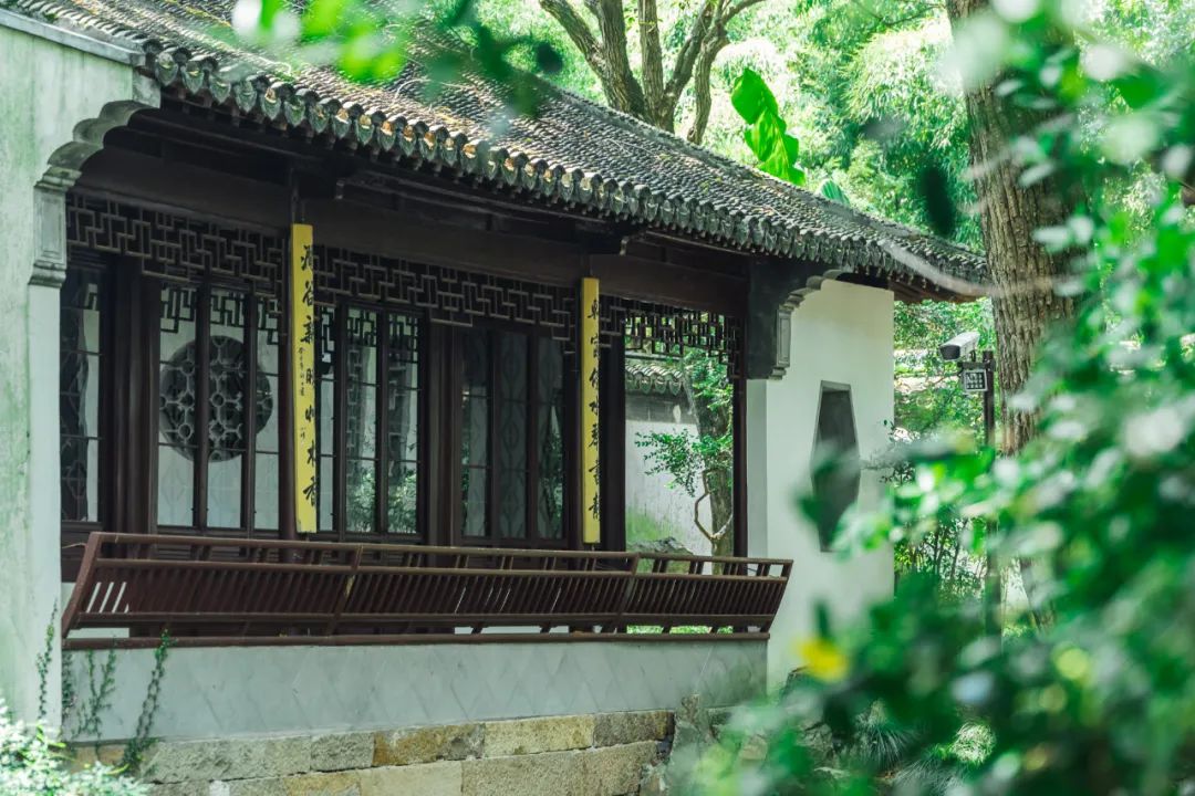 520年一遇，2022上海最浪漫打卡地出炉